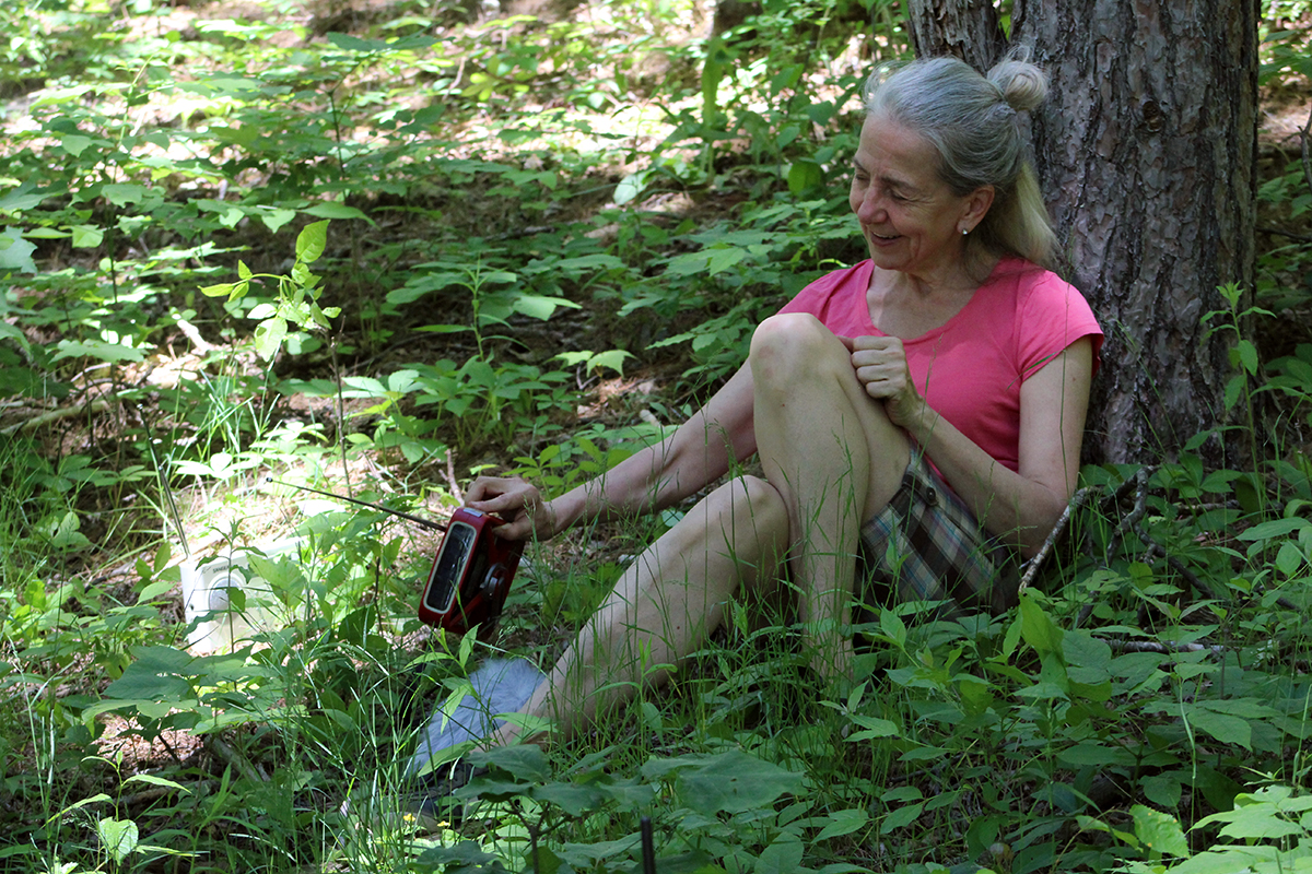 Voice Beside A Tree, Kathy Kennedy Wave Farm Artist-in-residence 