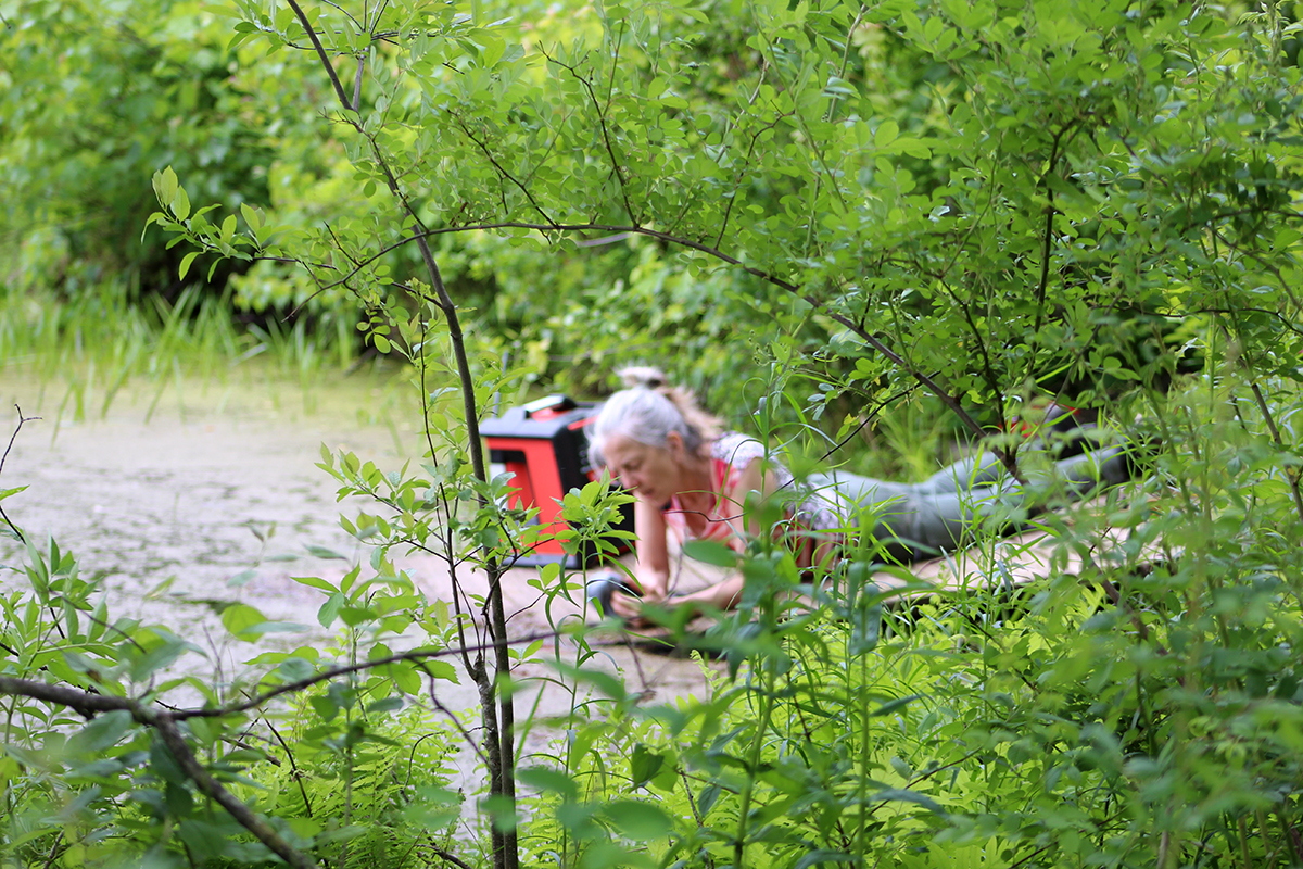 Pond Transmission With Jeffrey Lependorf, Kathy Kennedy Wave Farm Artist-in-residence 