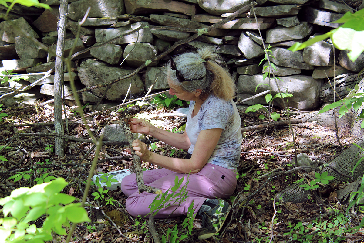 Stone Wall Transmission, Kathy Kennedy Wave Farm Artist-in-residence 