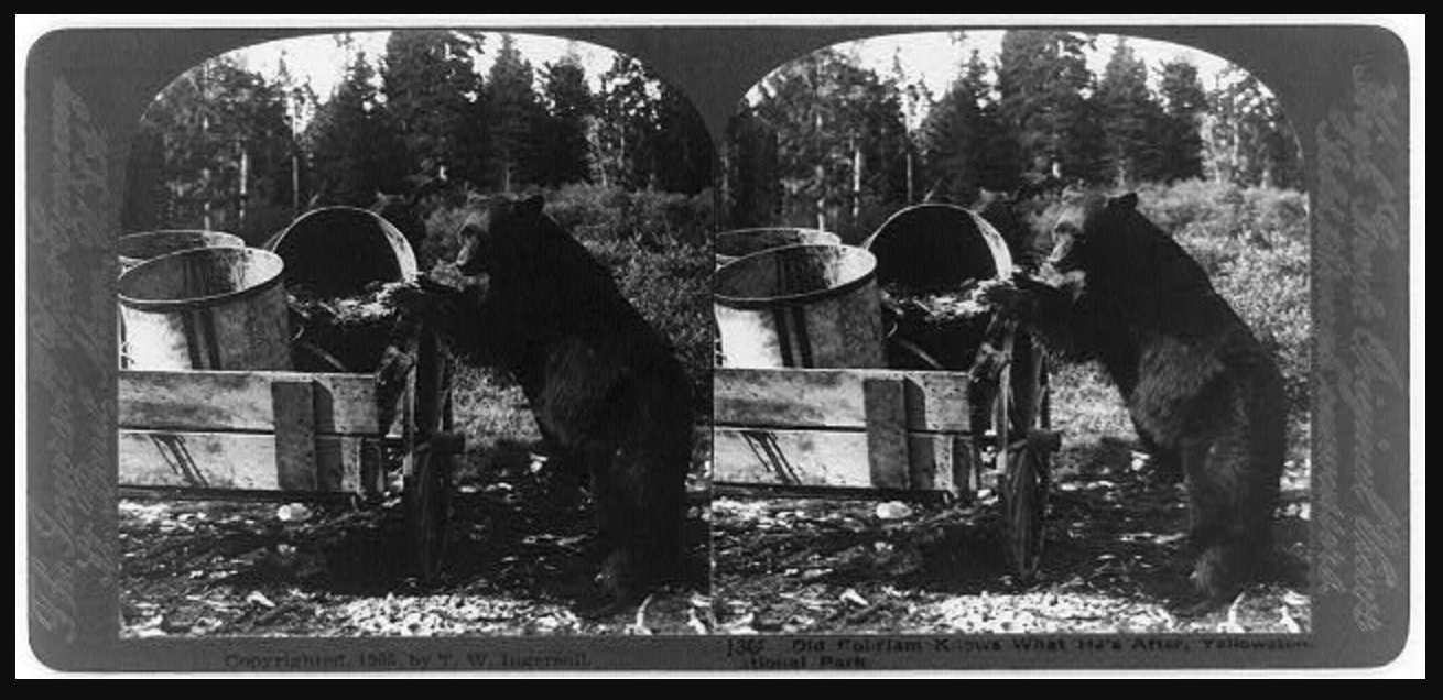 Hibernation Mixtape broadcast image