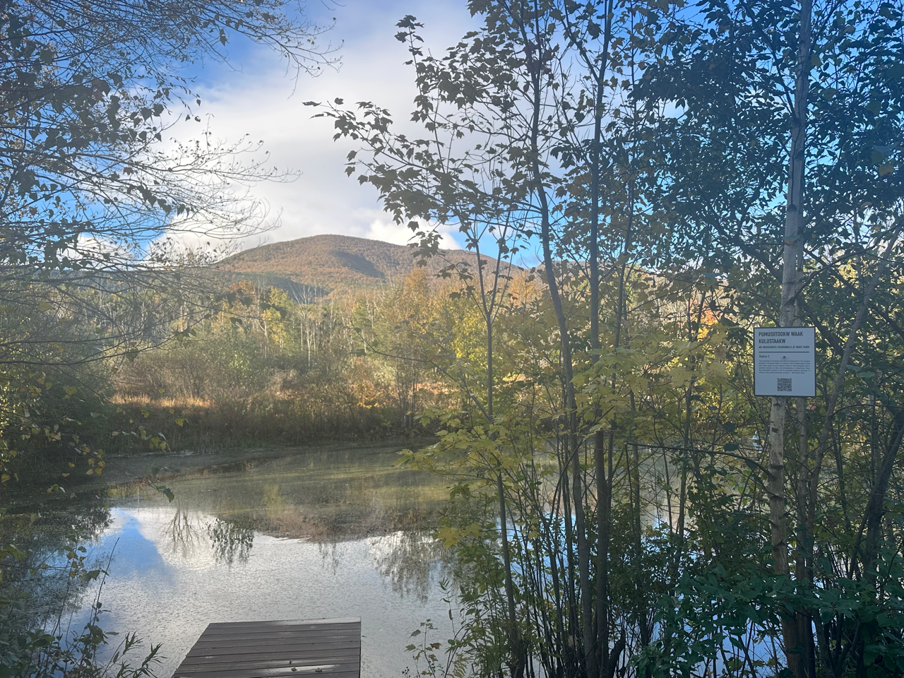 mountain view with fall foliage and a pond with a deck in the foreground