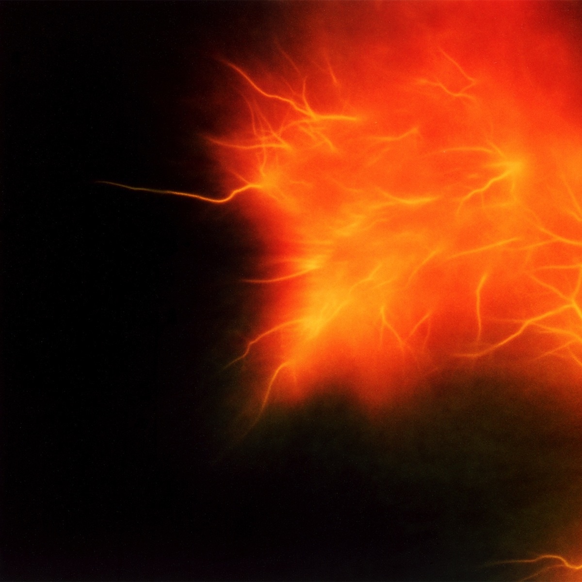 Episode 23 - Disinformation