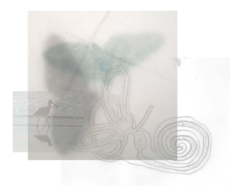 RADIA 1036: Light Hesitates by Katrina Brown (Soundart Radio)