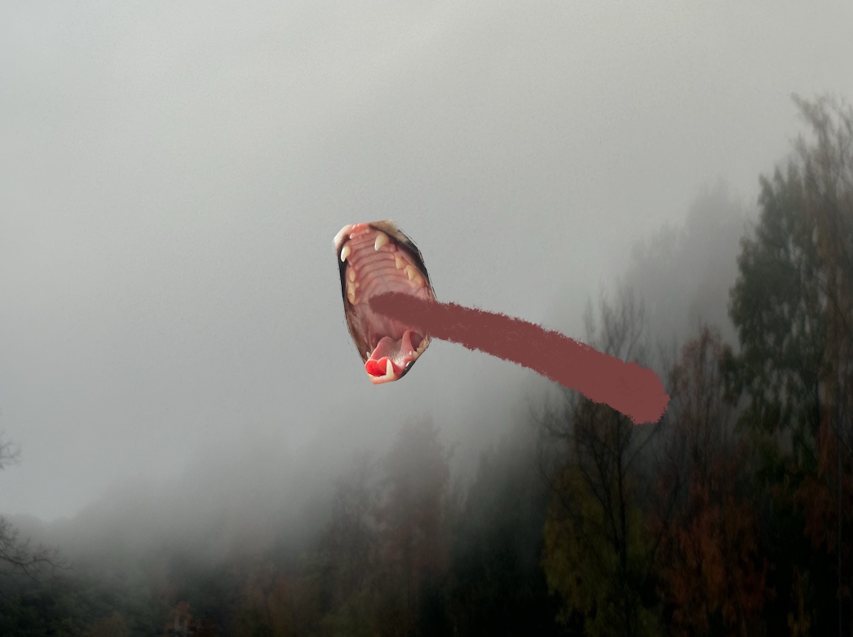 THERE ARE HALLWAYS show image