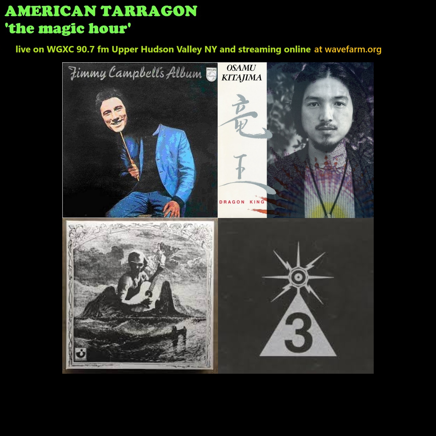 American Tarragon: 20250512