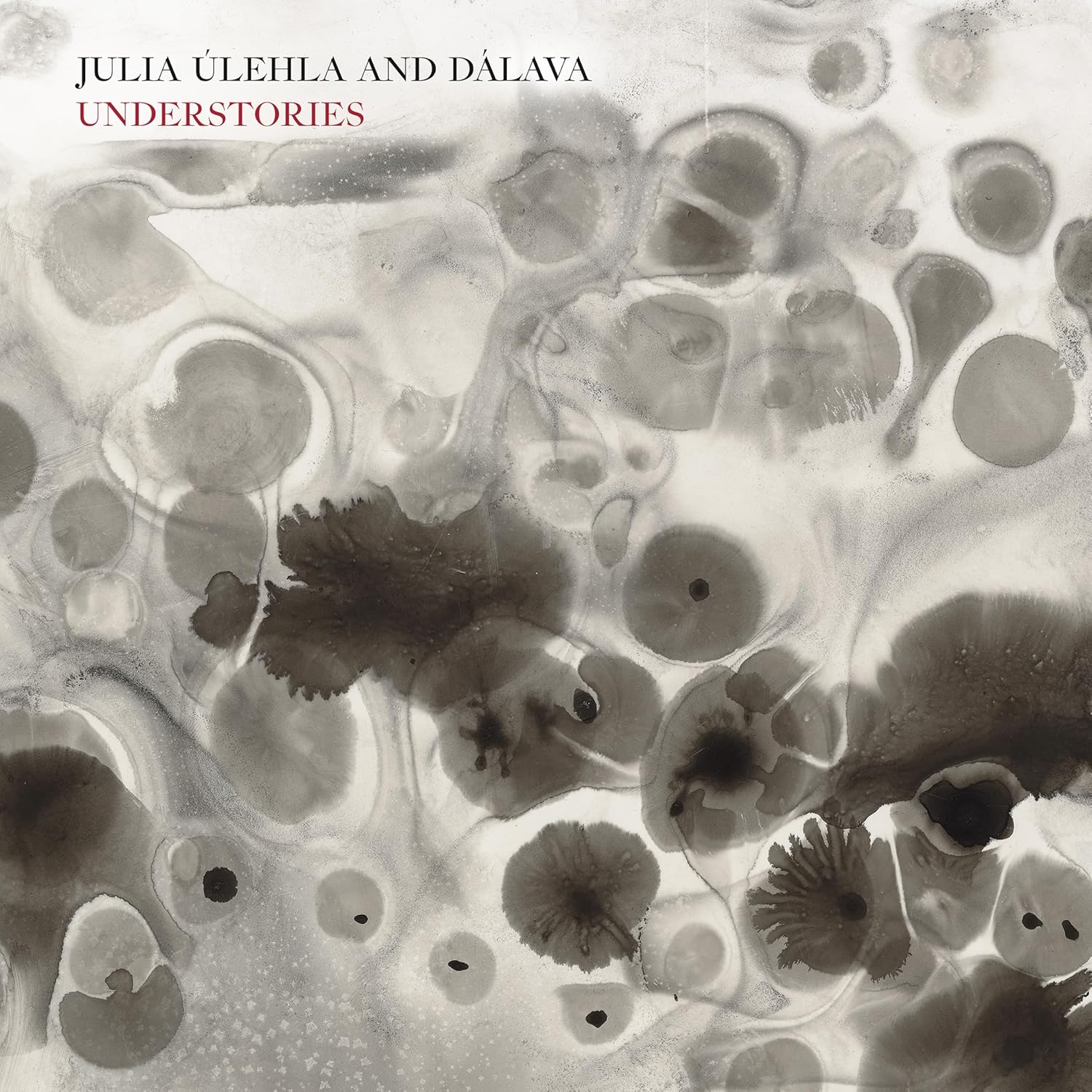 Julia Ulehla, Understories, courtesy Pi Recordings, 2025