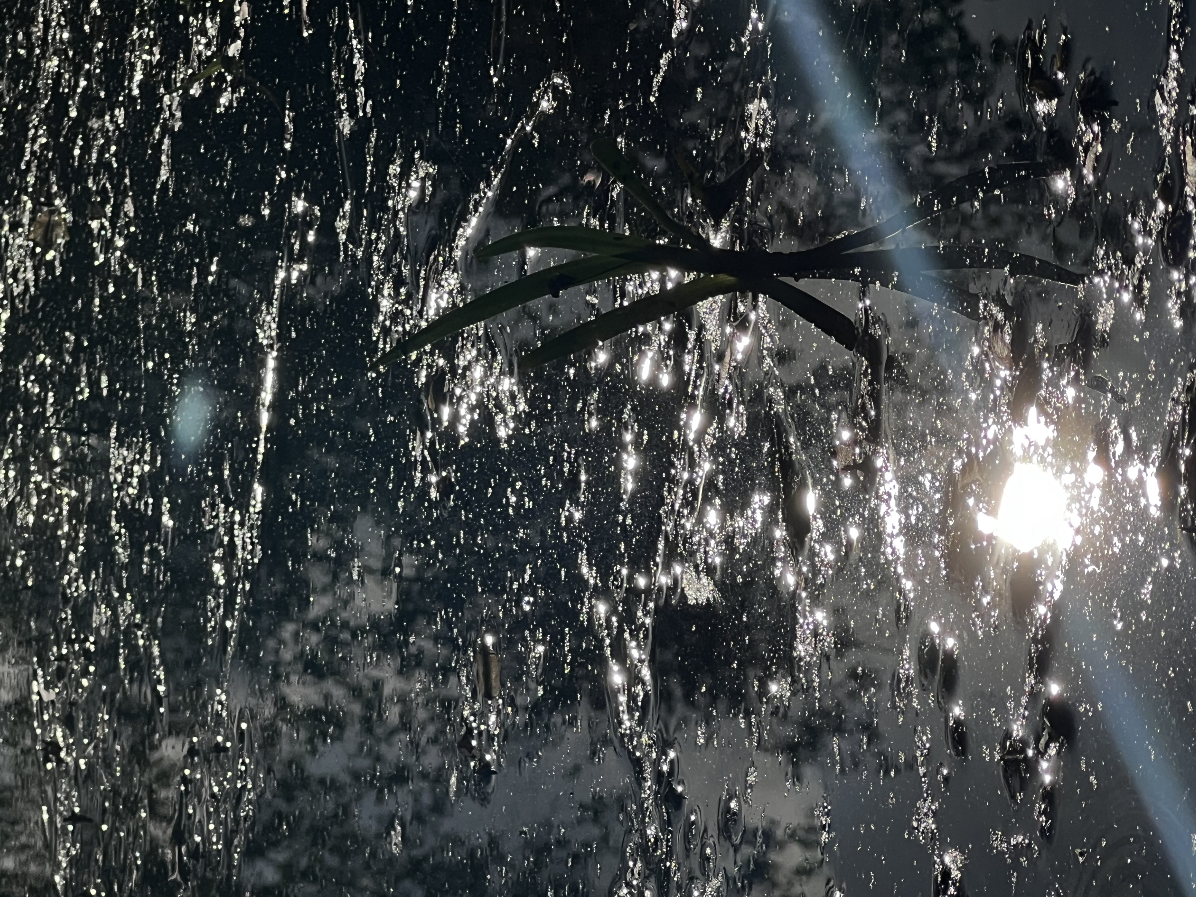 when the sun is high and slowly gets lower in the long heat we feel an ease