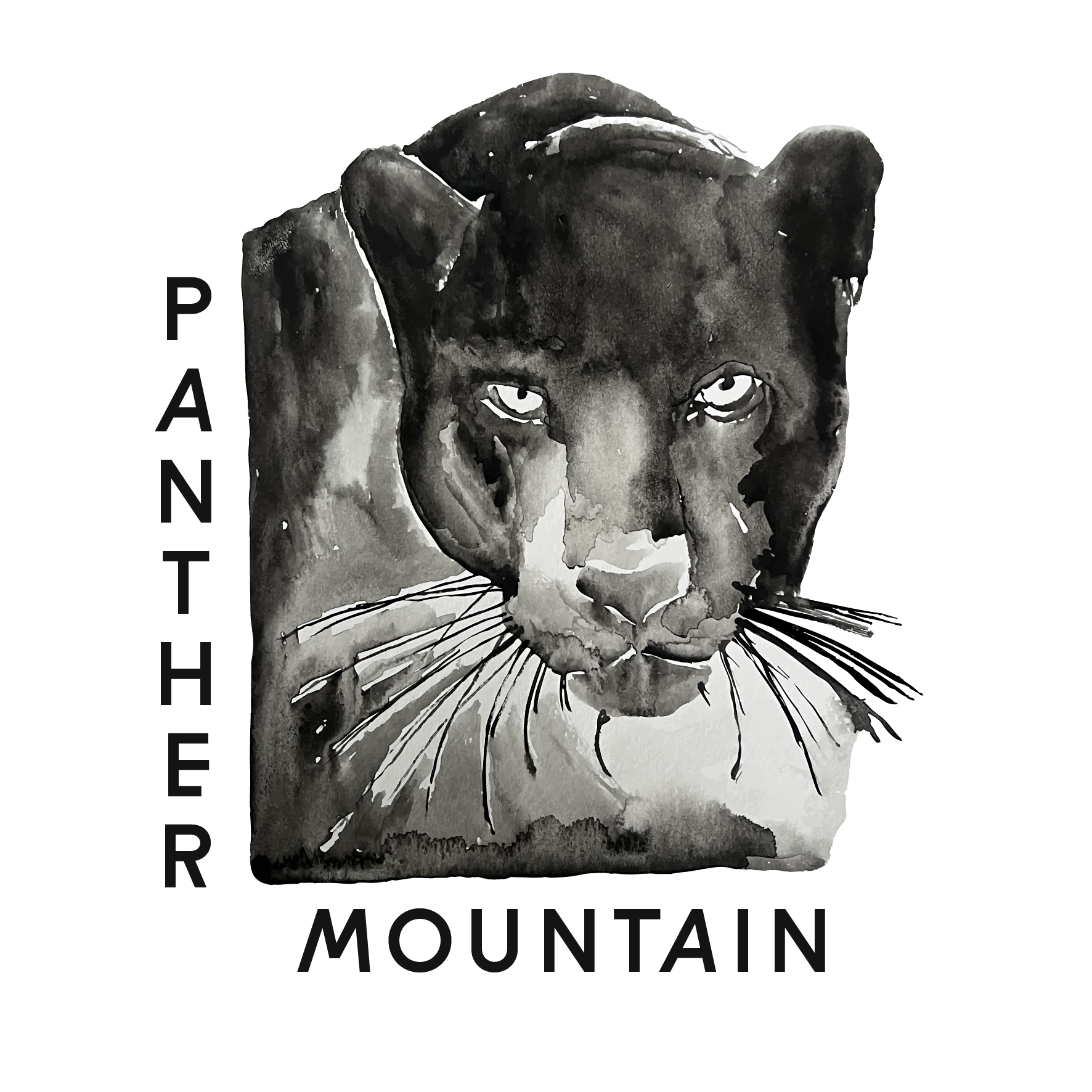 Panther Mountain Sound: 20251201