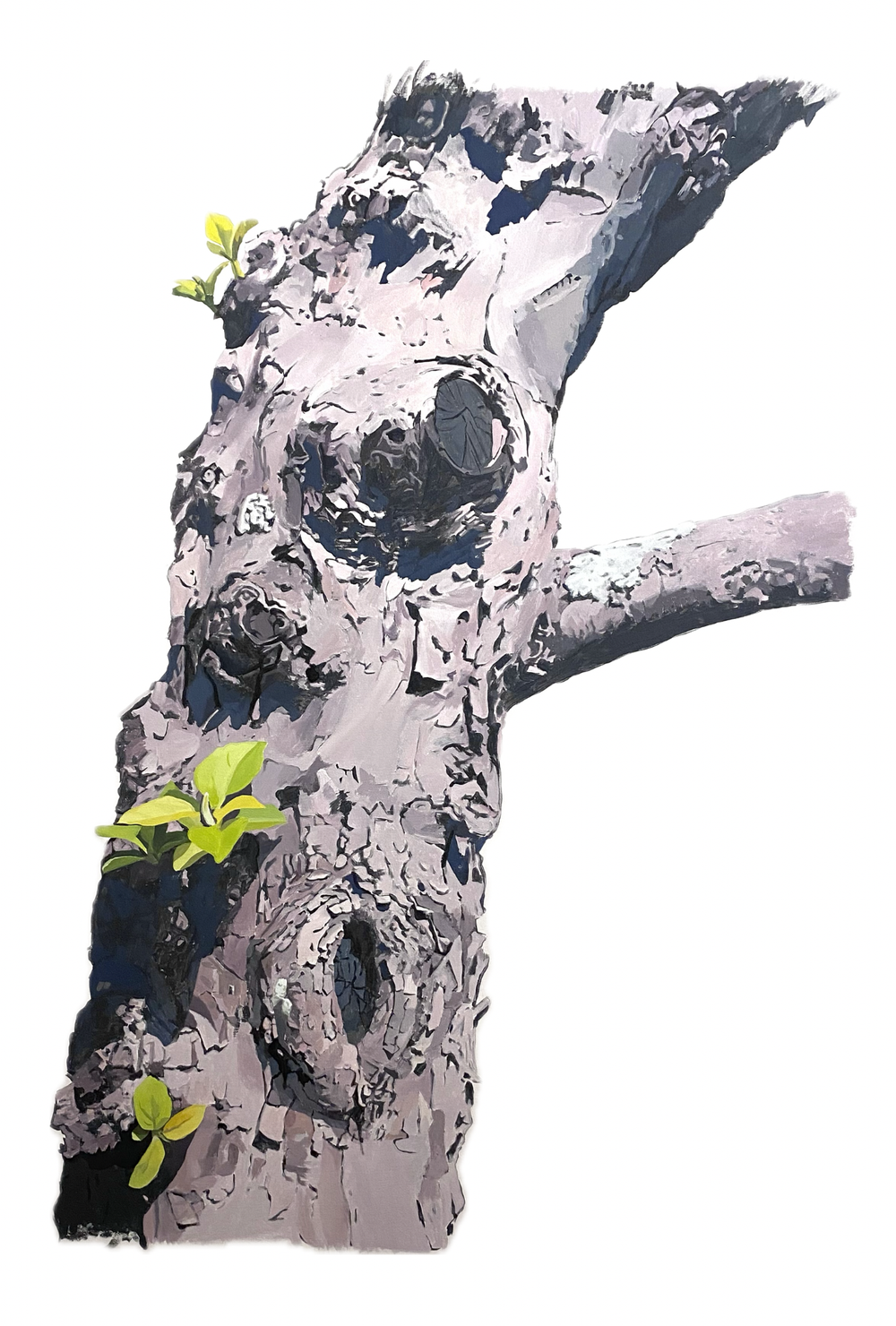 Thursday Afternoon Show with Justin Calder and Rebecca Borrer: Betsy Jacks