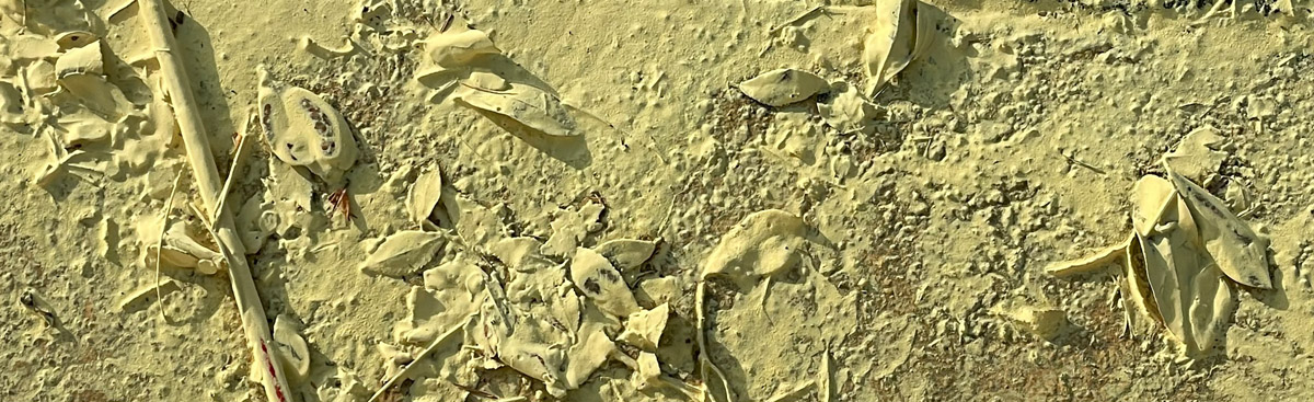 Bells, Bugs, Whispers & Plinks: Equilibrium-Interchange