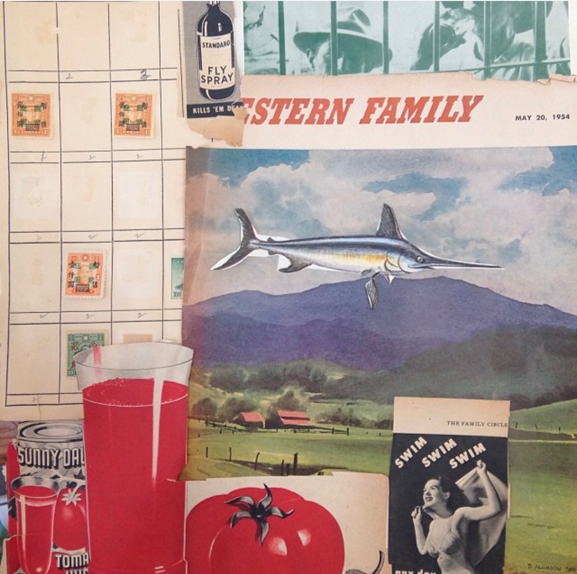 Fly Spray / Western Family