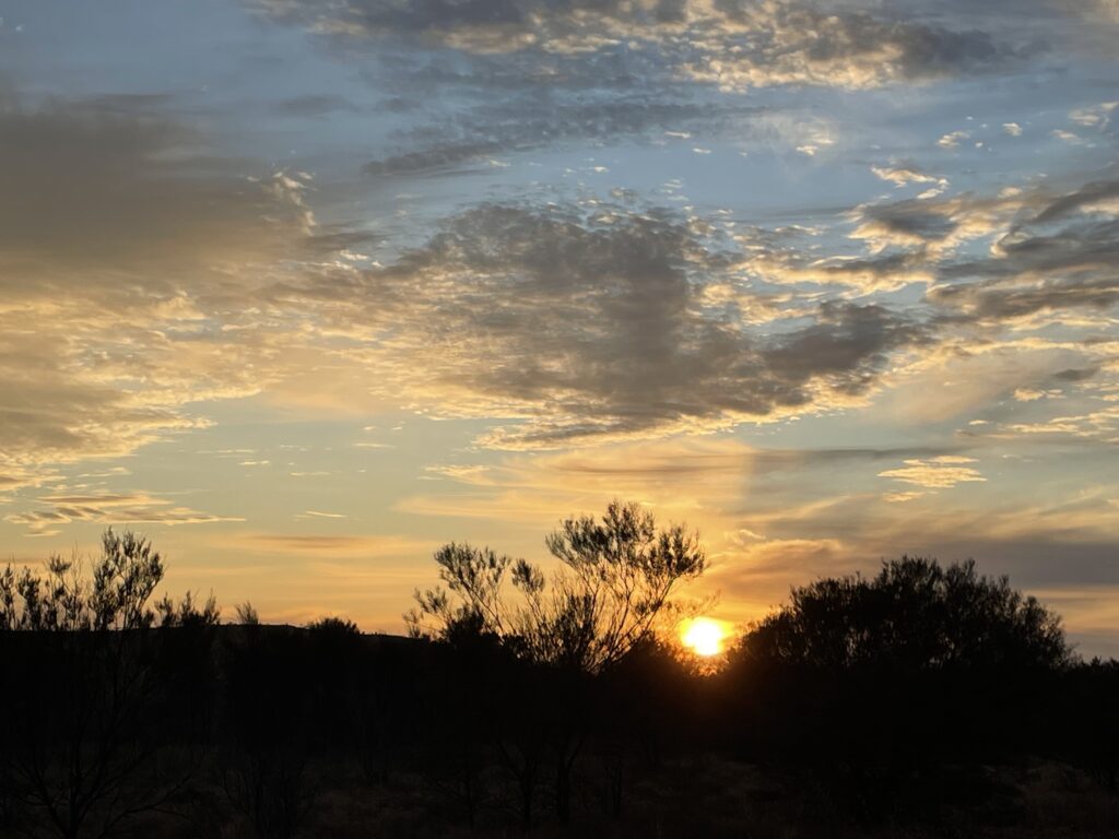 "Nocturnal" by Kersten Glandien (Resonance)