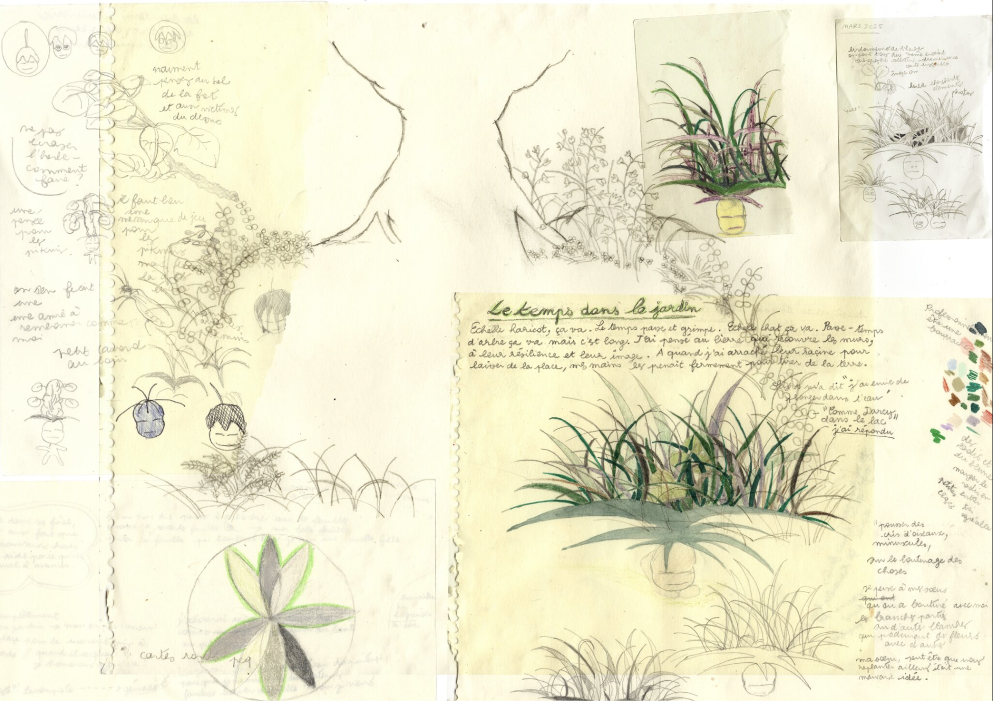 Brouillon Jardin, Jardin Brouillon by Sophie Courge-Pinna (Jet fm)