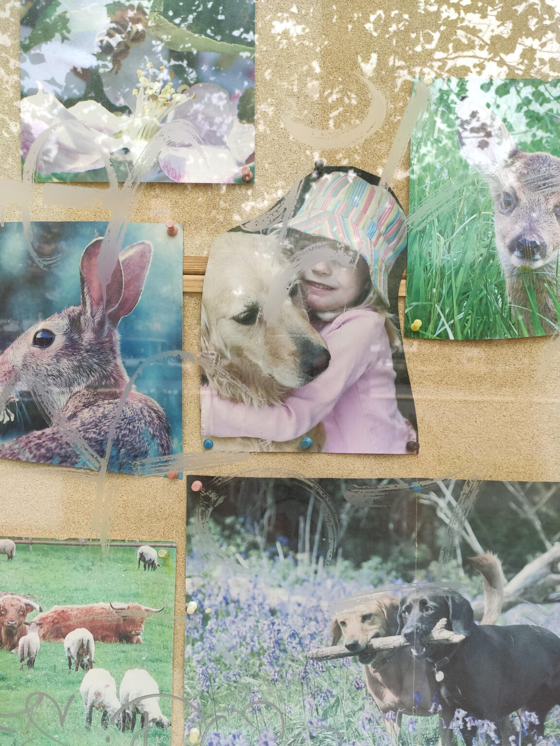 Radar sem z živalmi (Radio Študent)