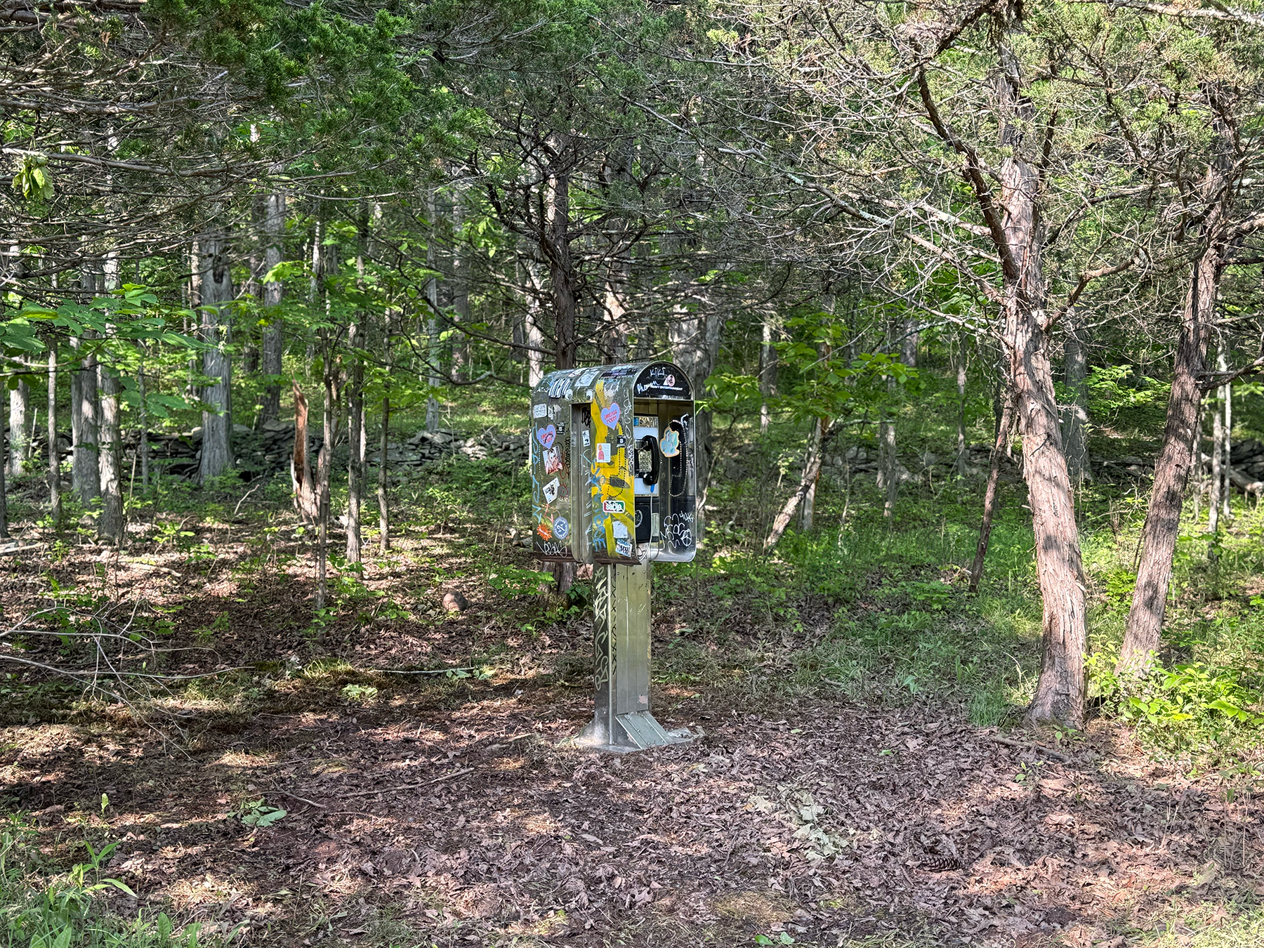 photograph of a NYC phone booth in a forest. this installation at Wave Farm is called Talk To Me Wave Farm.=