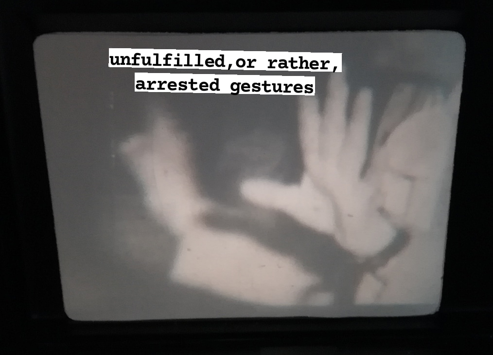 Arrested Gestures by Geanina Gypt