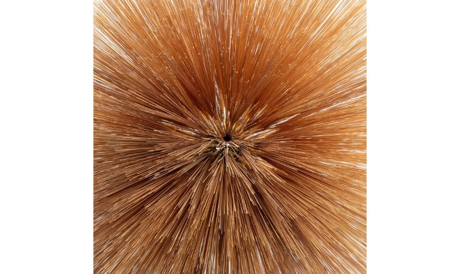 Of the Near and Far, Patricia Brennan, Pyroclastic Records, 2025