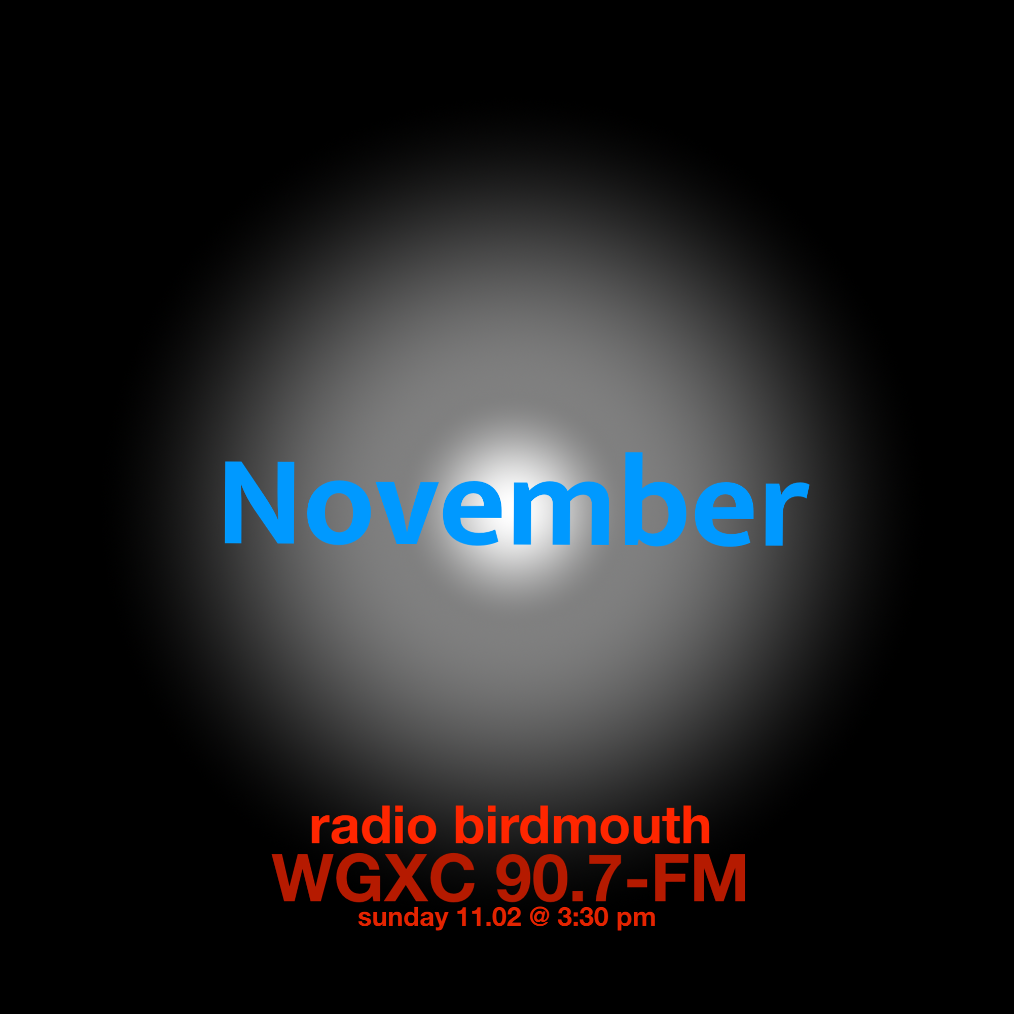 Radio BirdMouth: 20251102