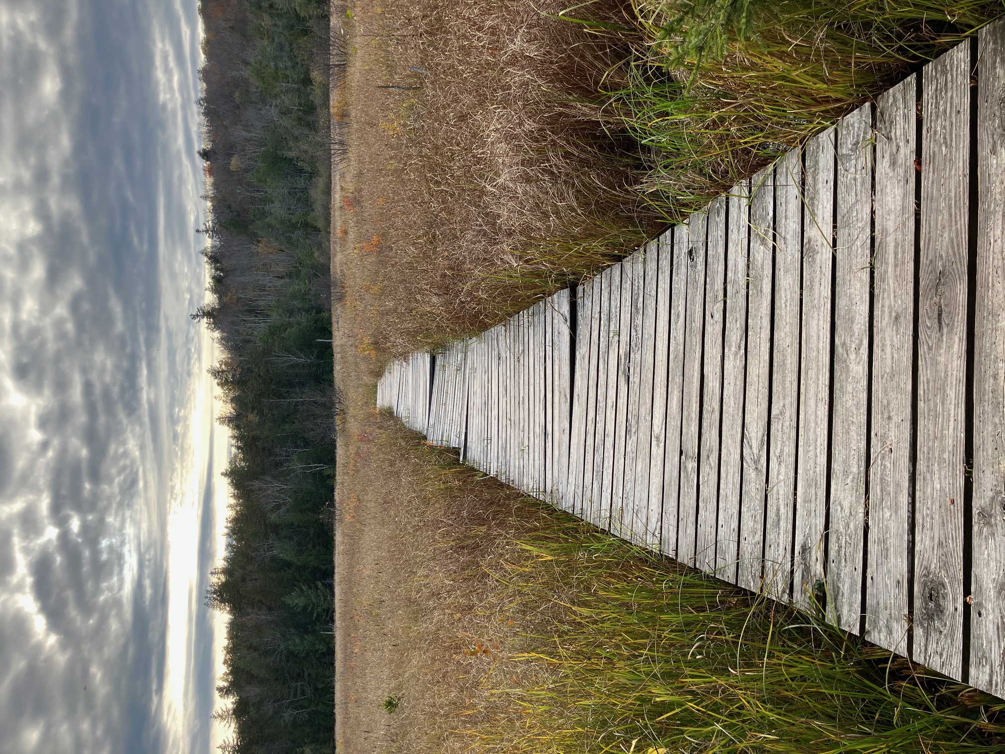 Ginger Radio Hour: Music for Walking