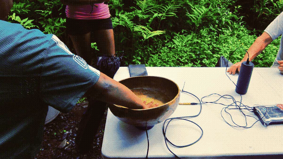 Natan Diacon Furtado, Community Portal