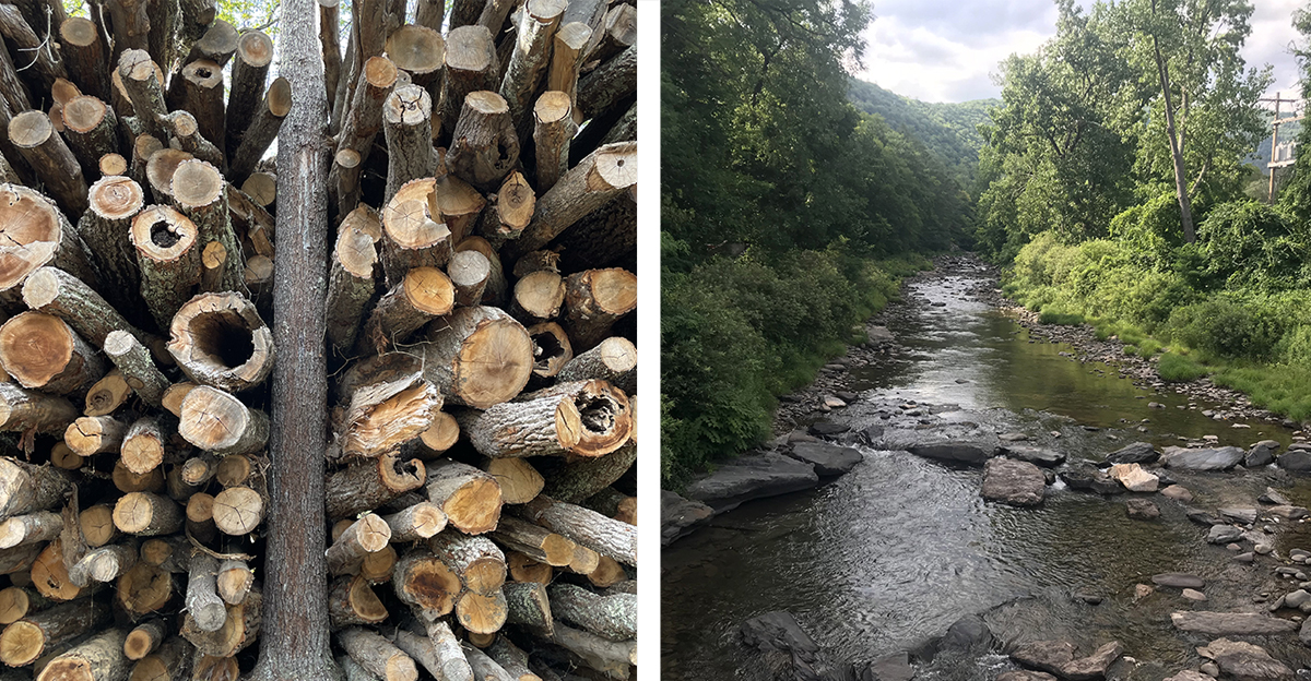 Views from the Watershed: Nature as Infrastructure