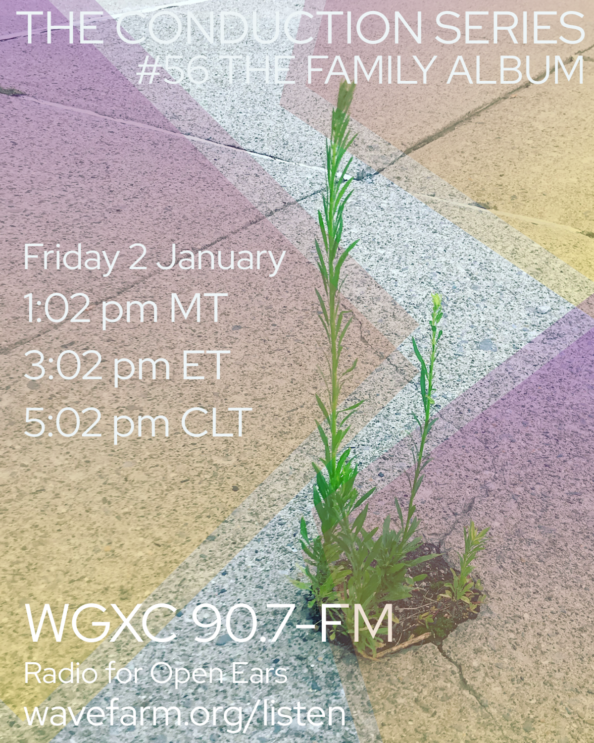 The Conduction Series: A Family Album